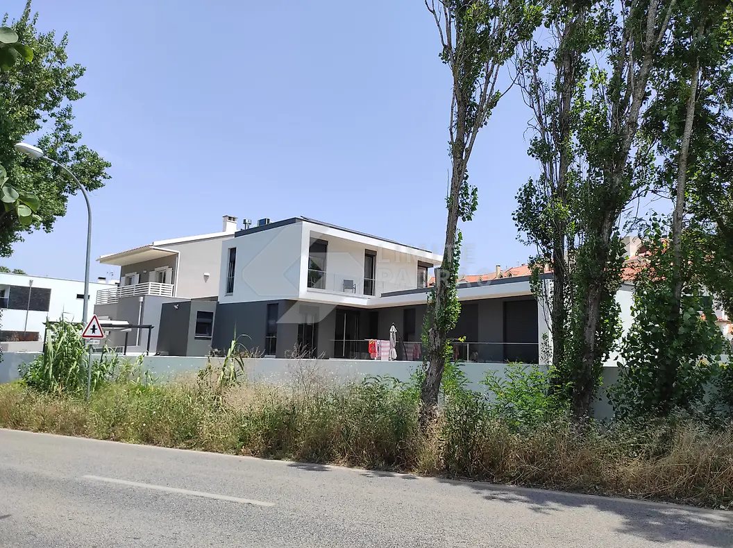Construção de moradia: moradia moderna vista da rua, entre árvores