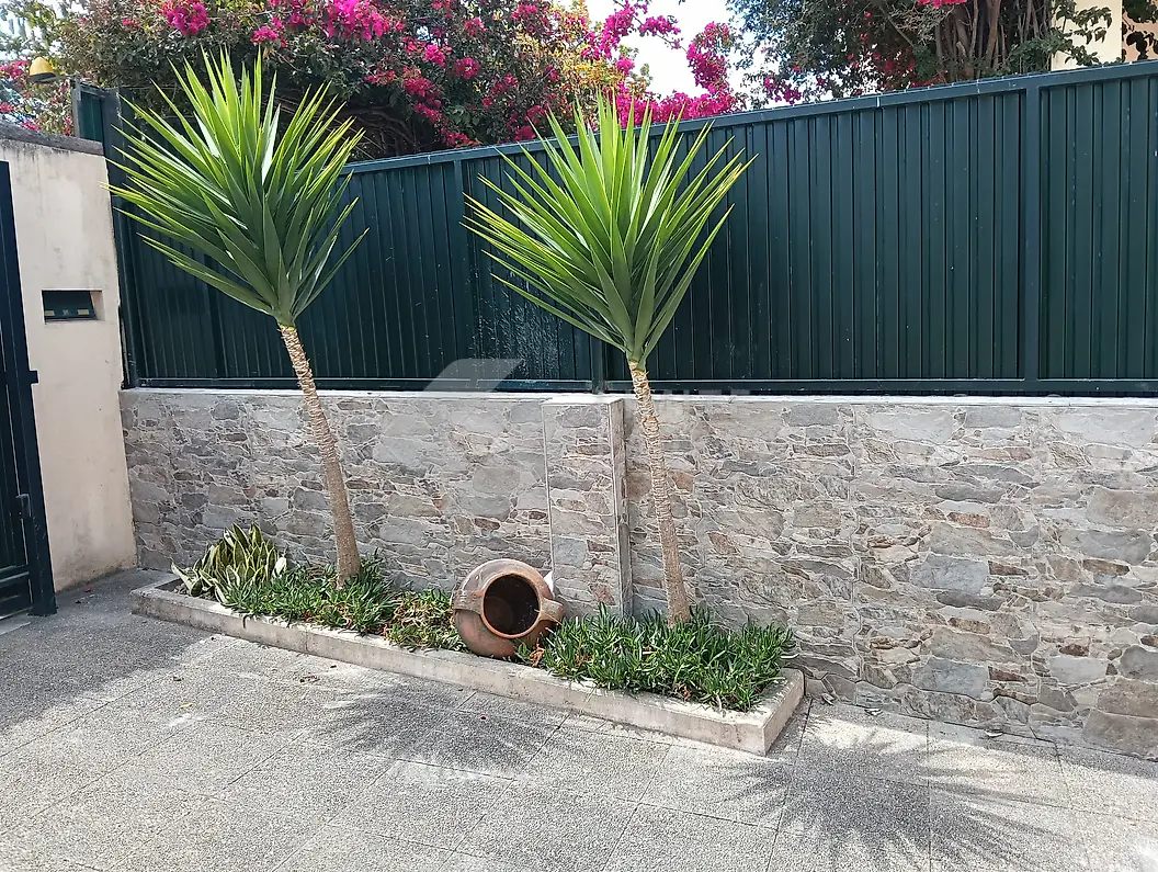 Muro em pedra: muro em pedra com vedação verde e canteiro com palmeiras
