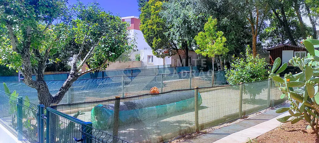 Jardim: jardim com vedação e árvores